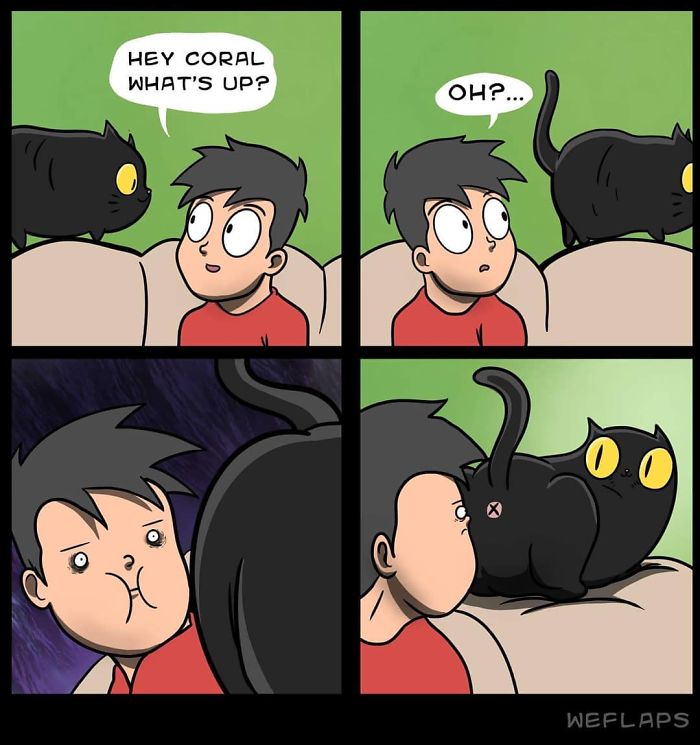 Living with cat through comics