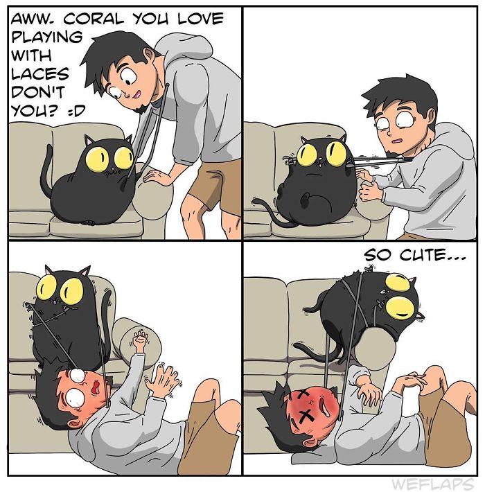 Living with cat through comics