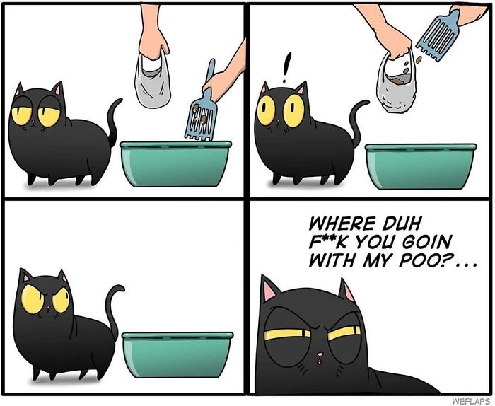 Living with cat through comics