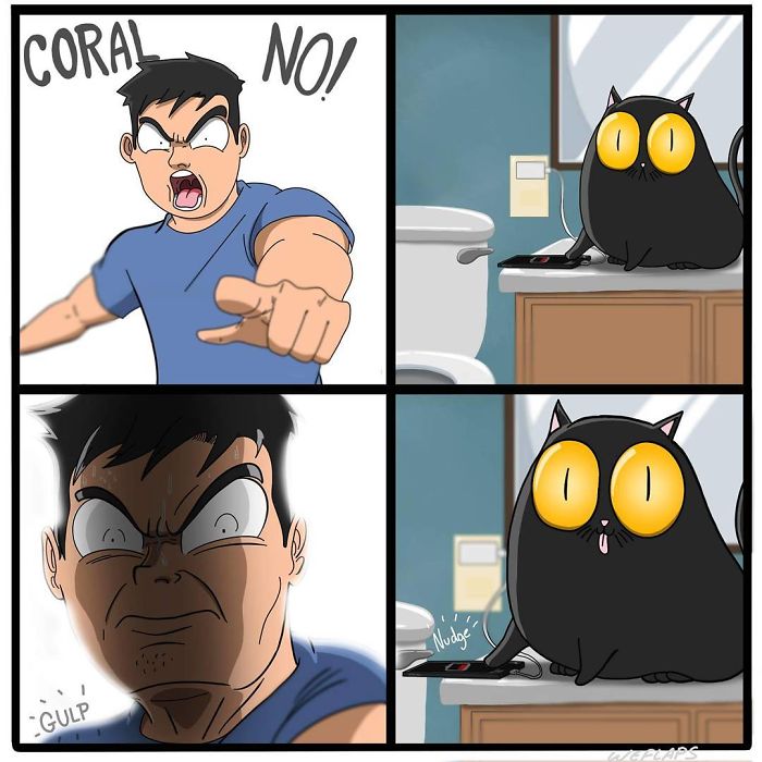 Living with cat through comics