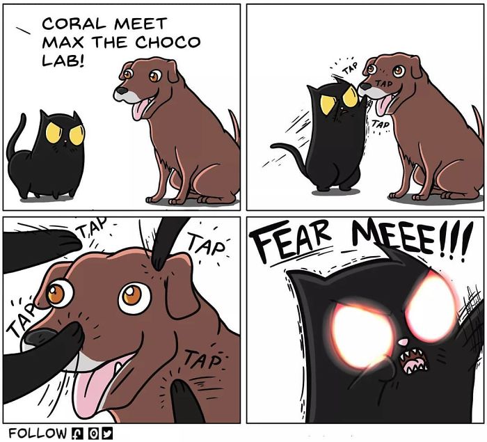 Living with cat through comics