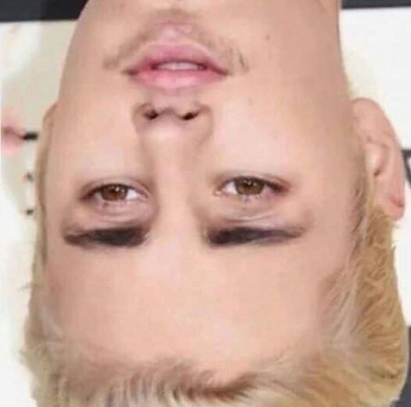 Do Not Dare To Turn Your Phone Upside Down While Looking These Pictures