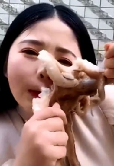 Octopus Sucks Onto Vlogger's Face As She Tries To Eat It Alive