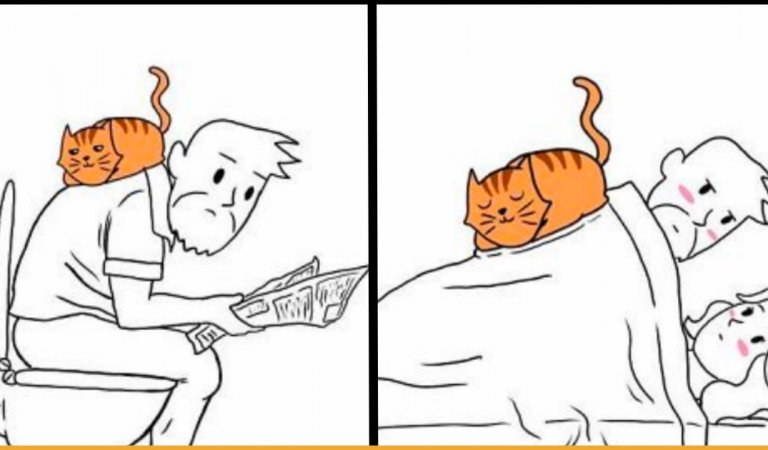 Artist Describes How It Feels To Be Living With A Cat Through His Comics