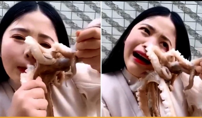 Octopus Sucks Onto Vlogger’s Face As She Tries To Eat It Alive