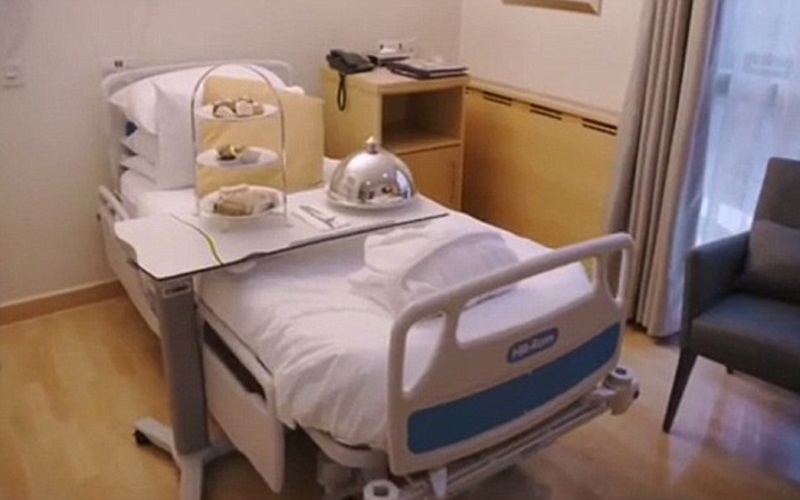 Have A Look Inside The Luxurious Portland Hospital Where Meghan Markle Gave Birth