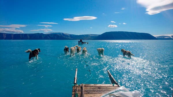 Greenland Drastically Lost 2 Billion Tons Of Ice Melted In Just A Day