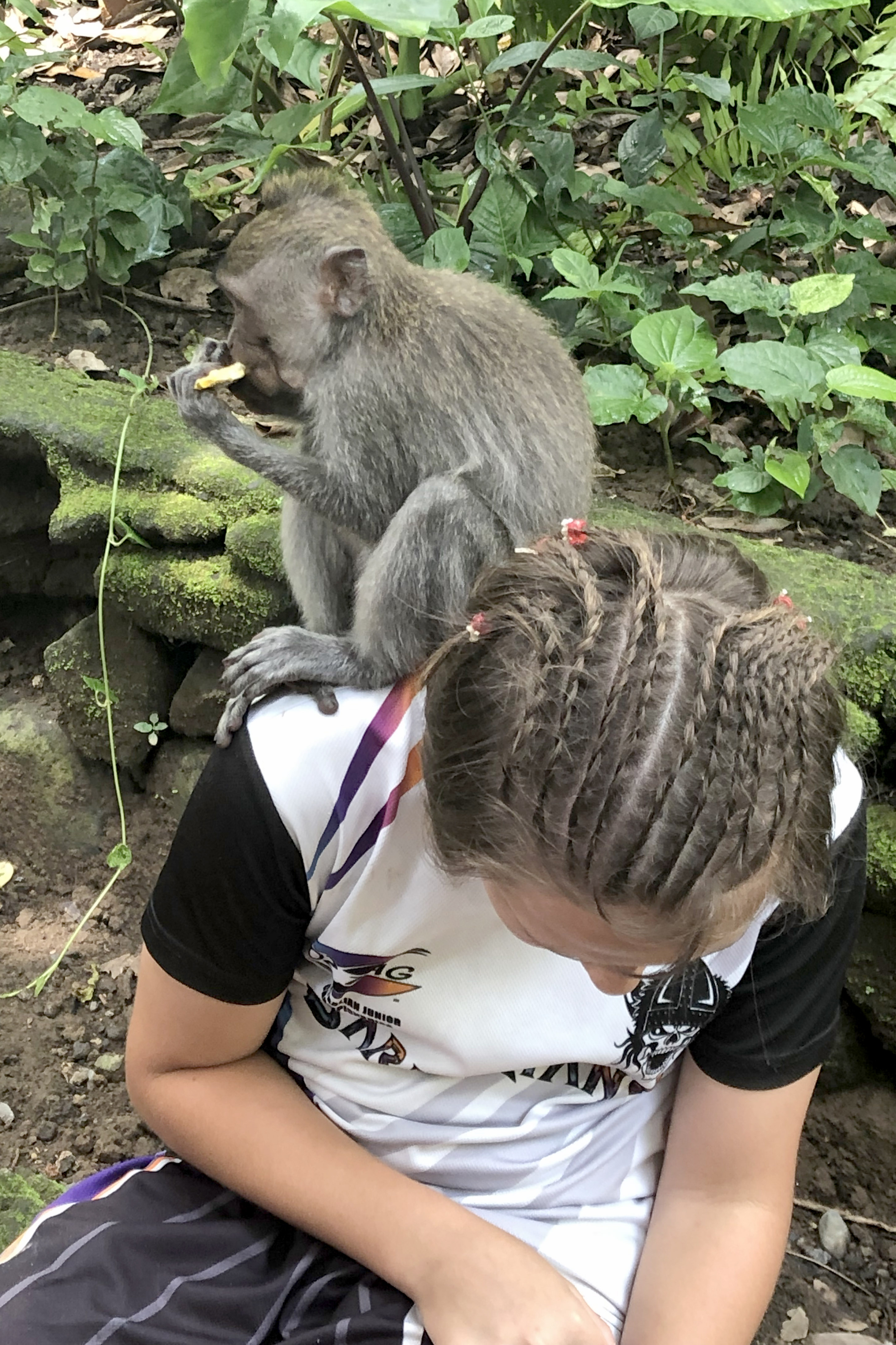 A Monkey Photobombs Their Family Pictures