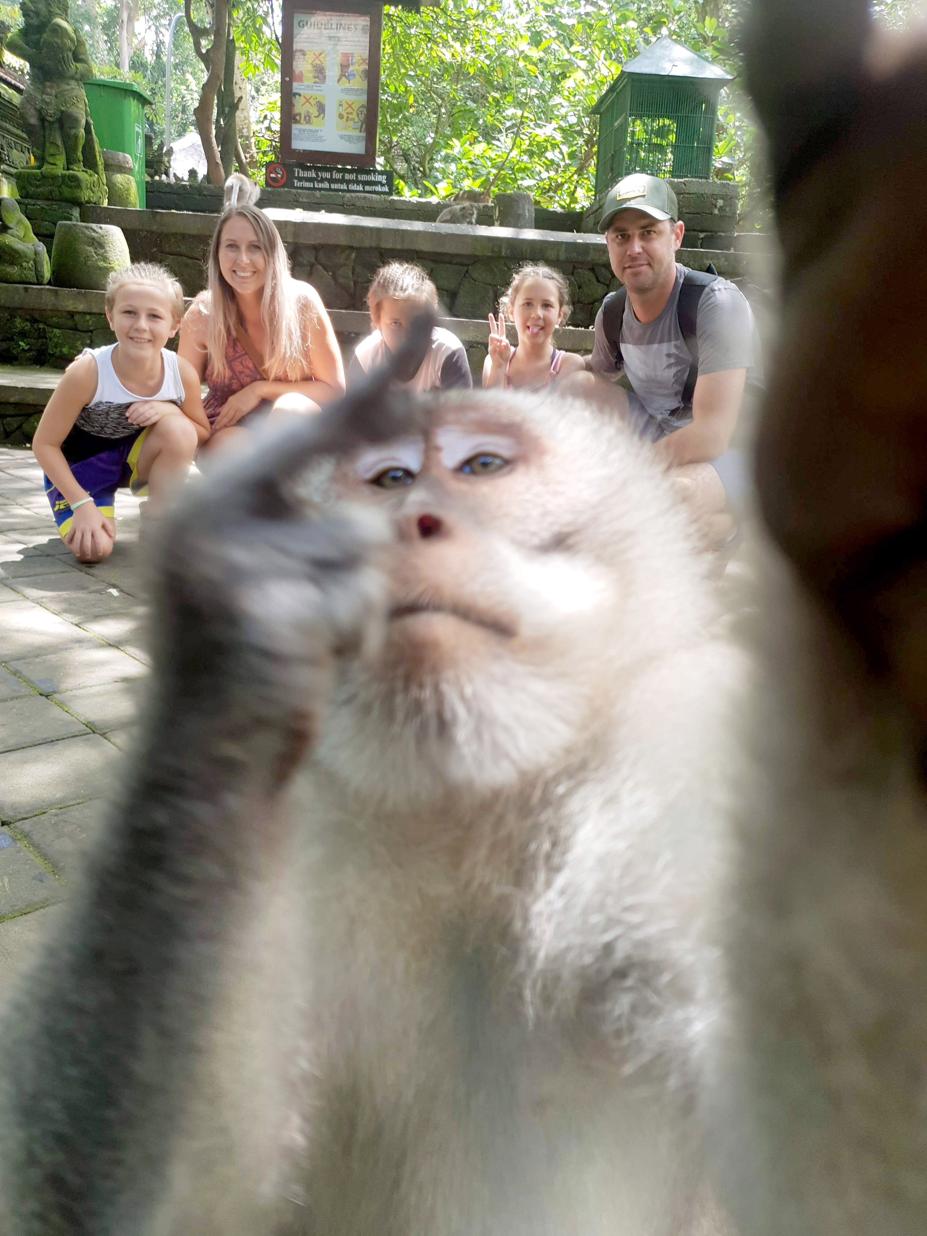 A Monkey Photobombs Family Pictures And Got Snapped Giving Them A Middle Finger