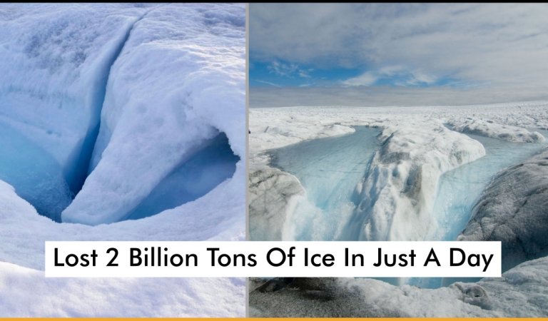 Greenland Drastically Lost 2 Billion Tons Of Ice In Just A Day And It’s Really Scaring