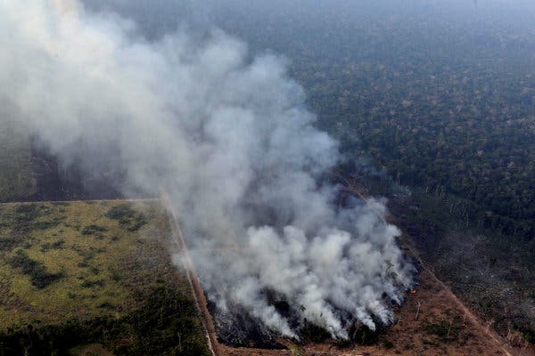 Fire In Amazon Rainforest Indigenous Brazilian Woman Delivers Heartbreaking Message