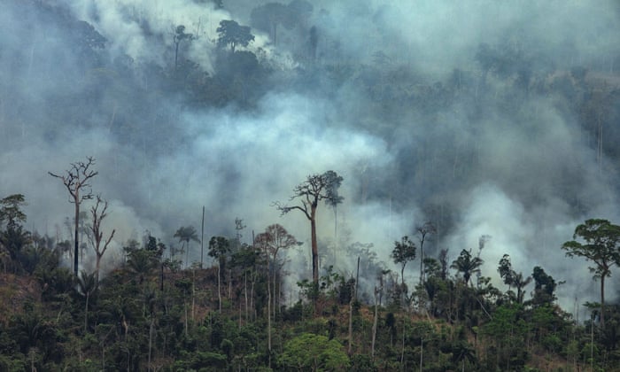 President Of Brazil Has Angrily Rejected $20 Million In Amazon Aid From France