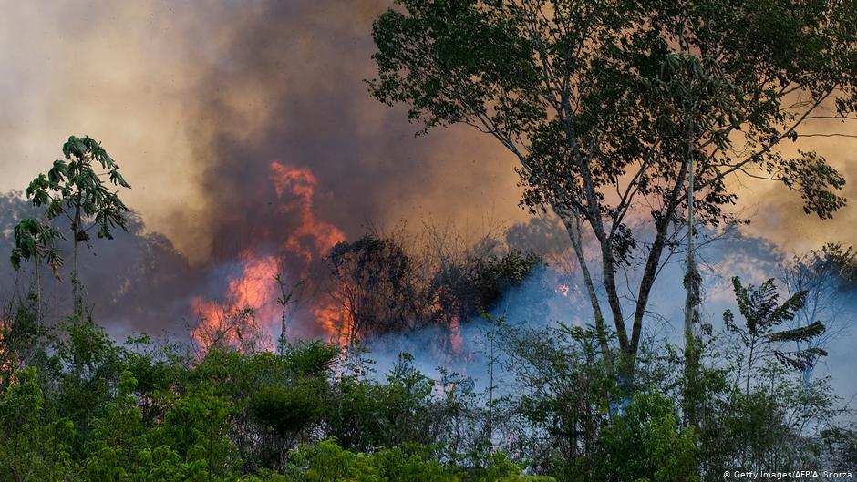 Fire in Amazon Rainforest Brazil