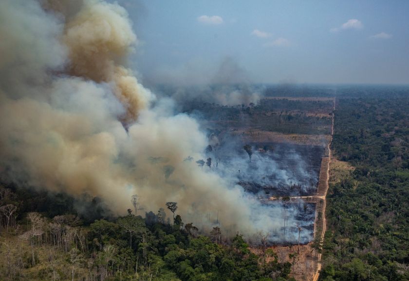 Amazon Rainforest