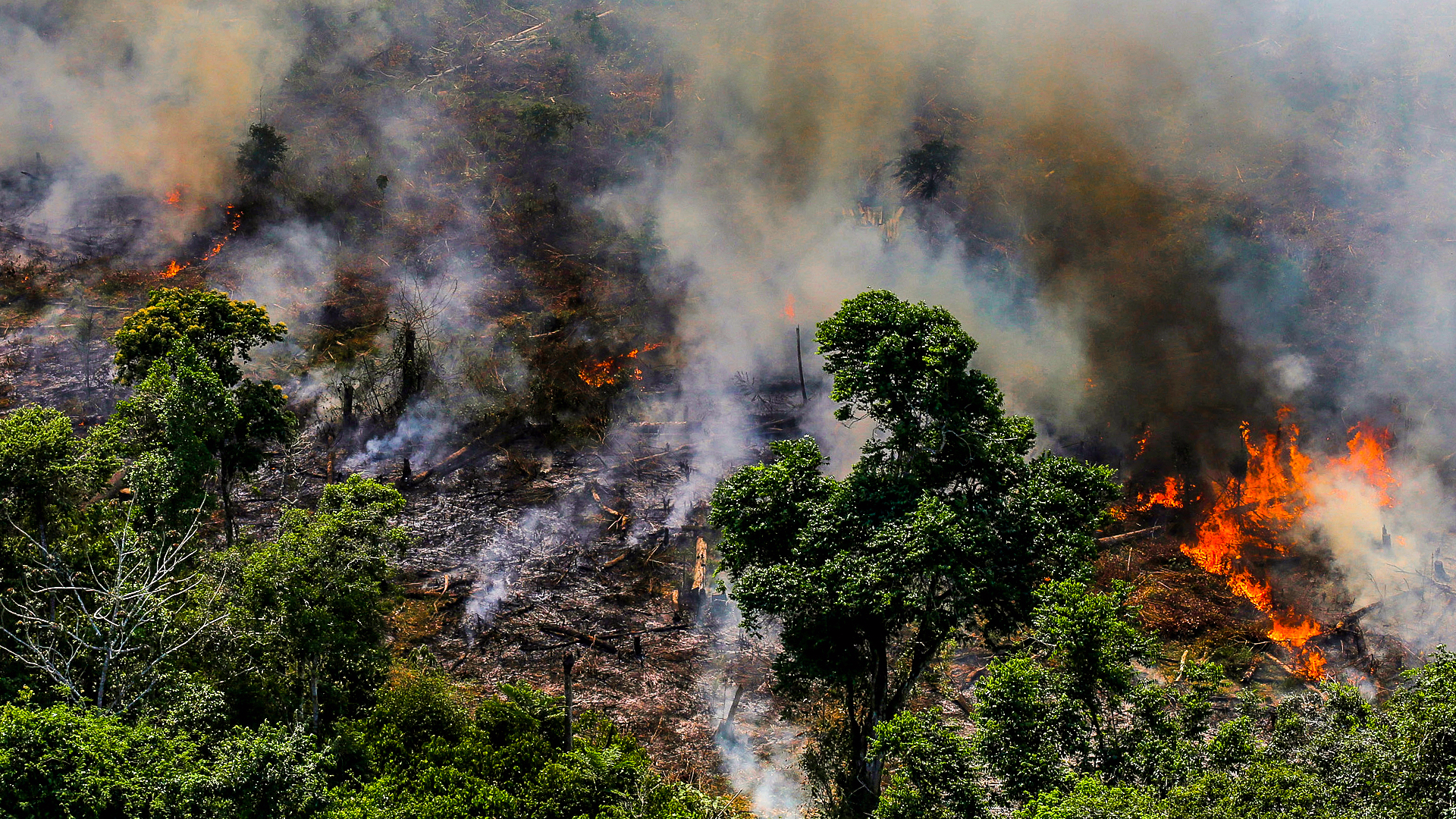 Indigenous Brazilian Woman Delivers Heartbreaking Message As Fire Rages In Amazon Rainforest