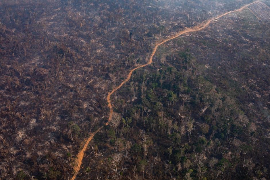 Wildfires in Amazon