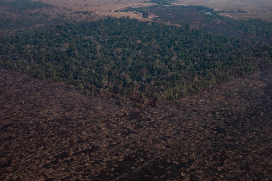 Aerial pictures of Amazon Rainforest destruction
