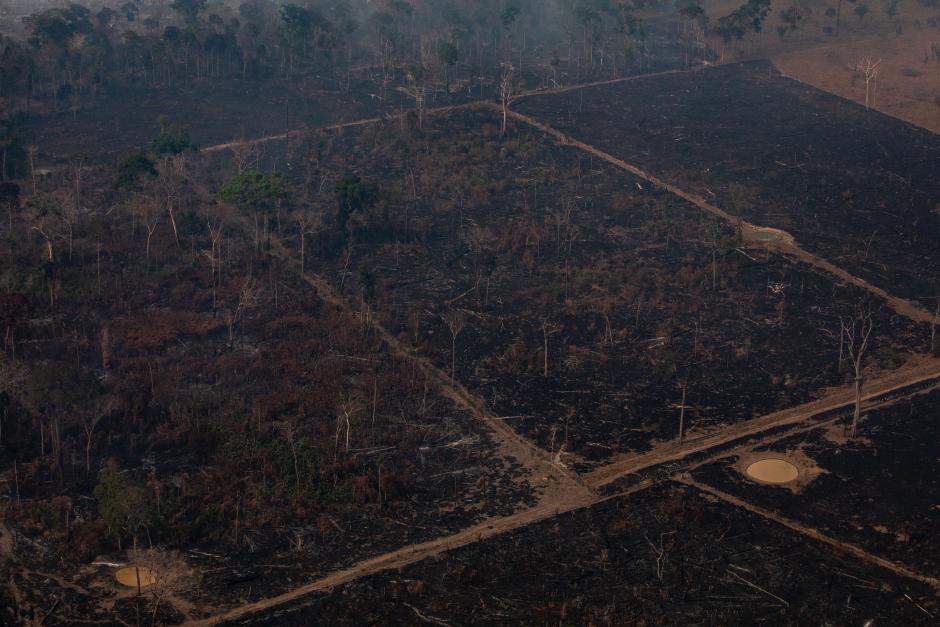Aerial Pictures of Massive Destruction in Amazon