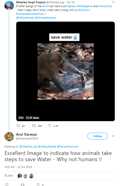 Monkey saves water