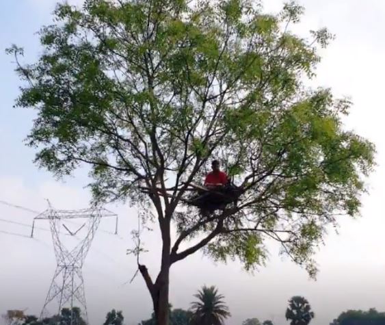 Teacher Climbs Tree For Better Internet Connectivity To Teach His Students Online