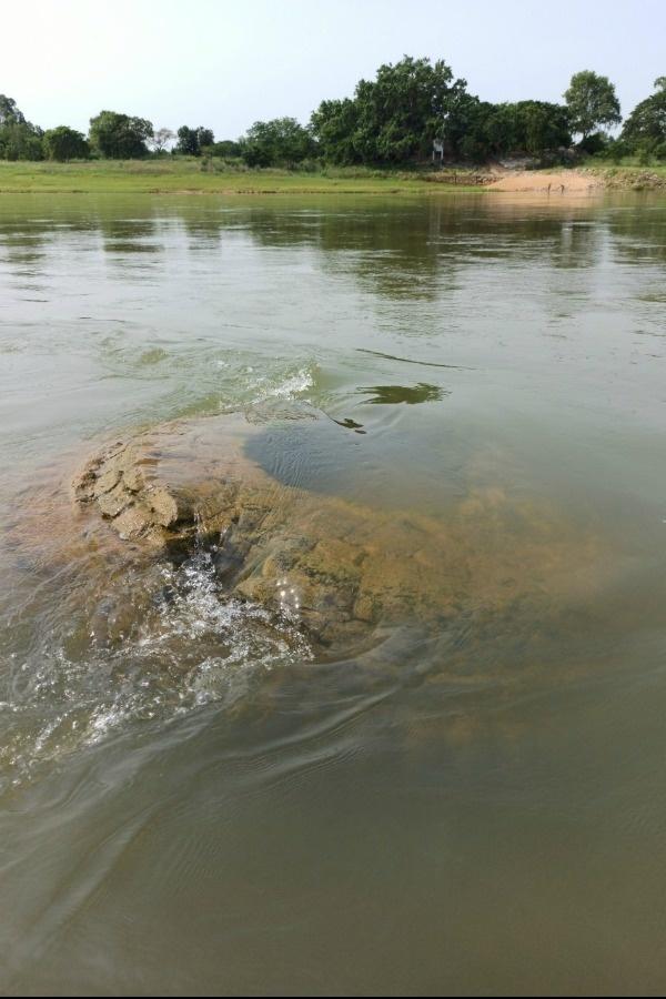 500-Year-Old Temple Resurfaced in River That Sumerged in the 19th Century in India