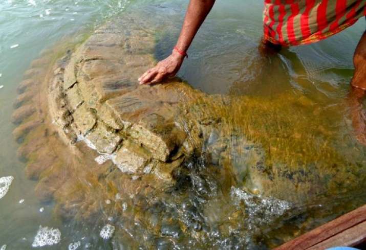 500-Year-Old Temple Resurfaced in River That Sumerged in the 19th Century in India