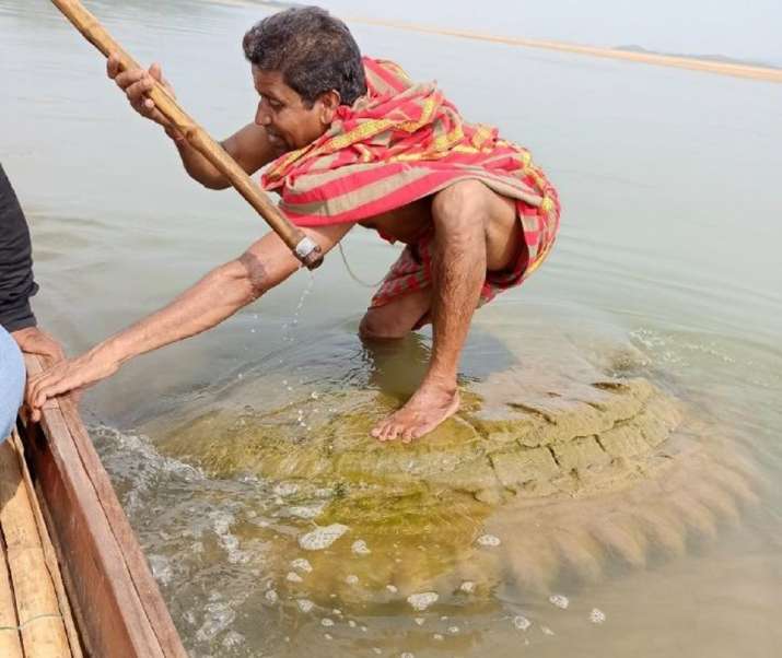 500-Year-Old Temple Resurfaced in River That Sumerged in the 19th Century in India