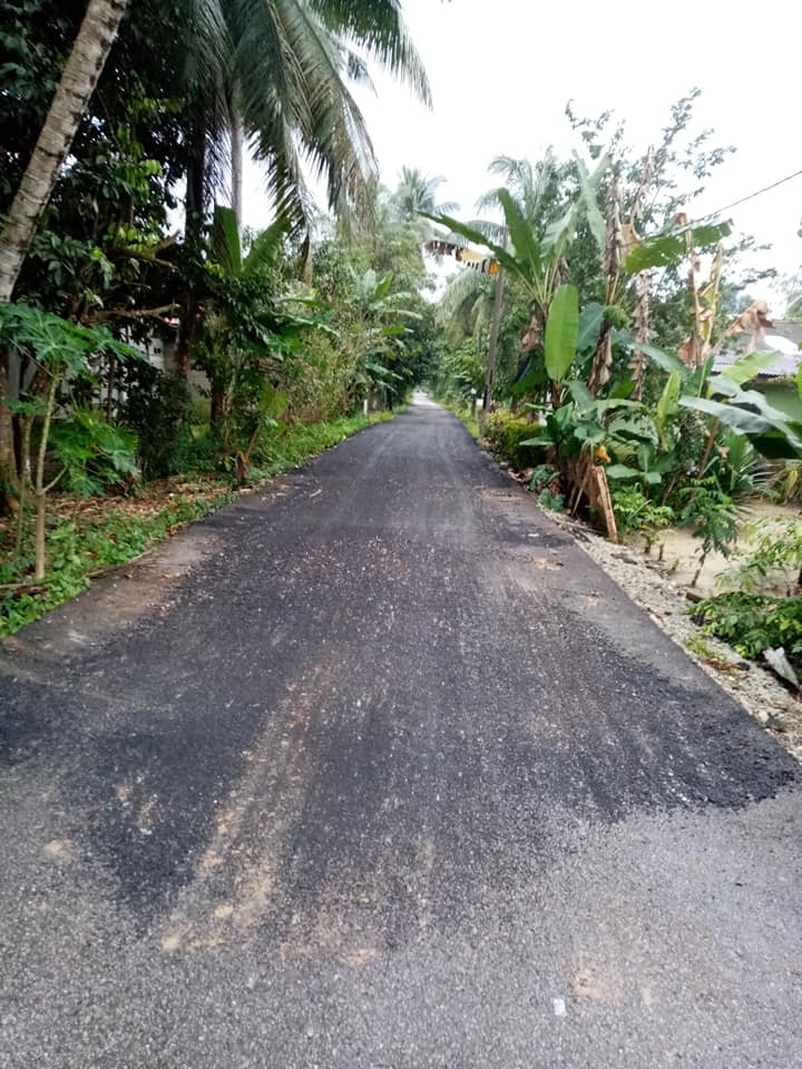 Man installs 11 Speed Bumps near His Home to get rid of noisy vehicles