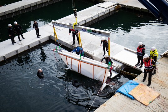 Two Beluga Whales Rescued From Performing As Show Animals After Nine Years In Captivity