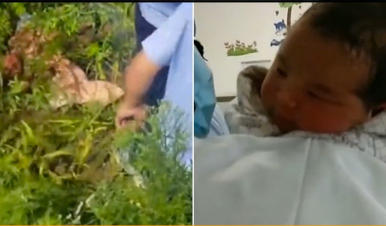 Mother Throws One-Day-Old Baby Into The Bush From The Bridge