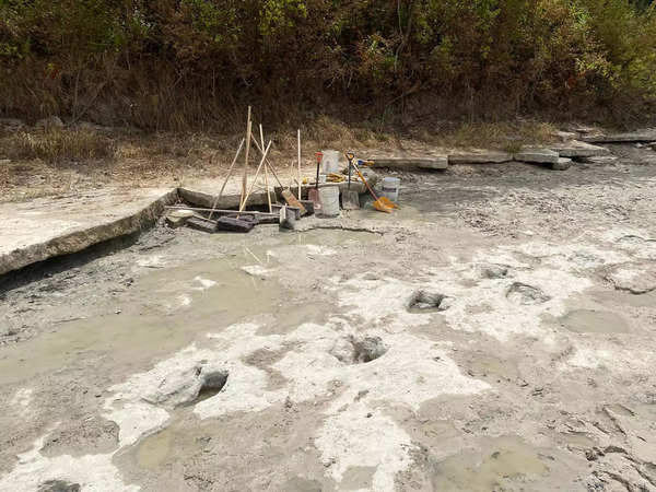 Drought reveals 113-million-year-old dinosaur tracks in Texas