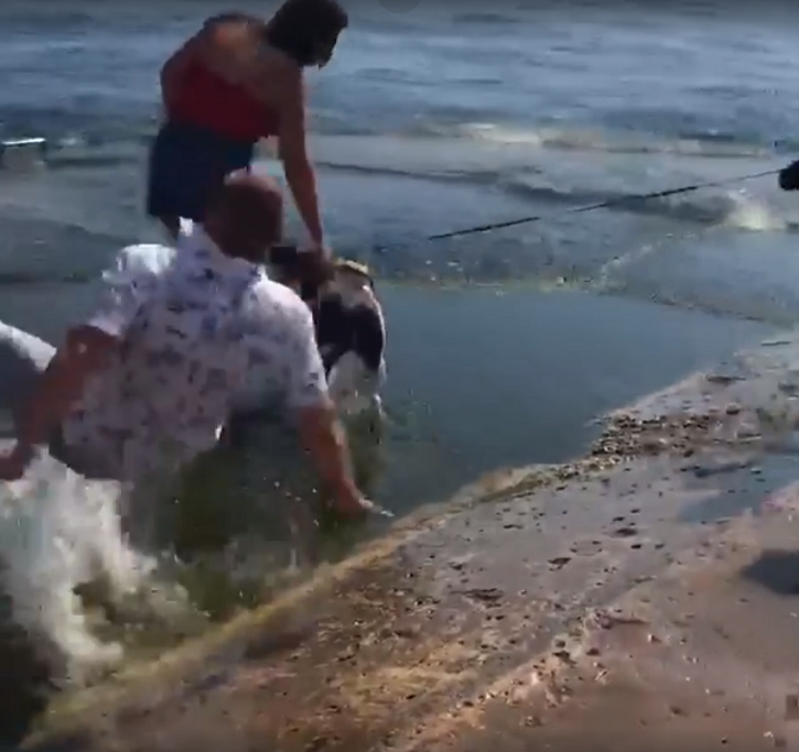 Falling In Love: Man Slips and Falls On The Beach Right Before Proposing His Girlfriend