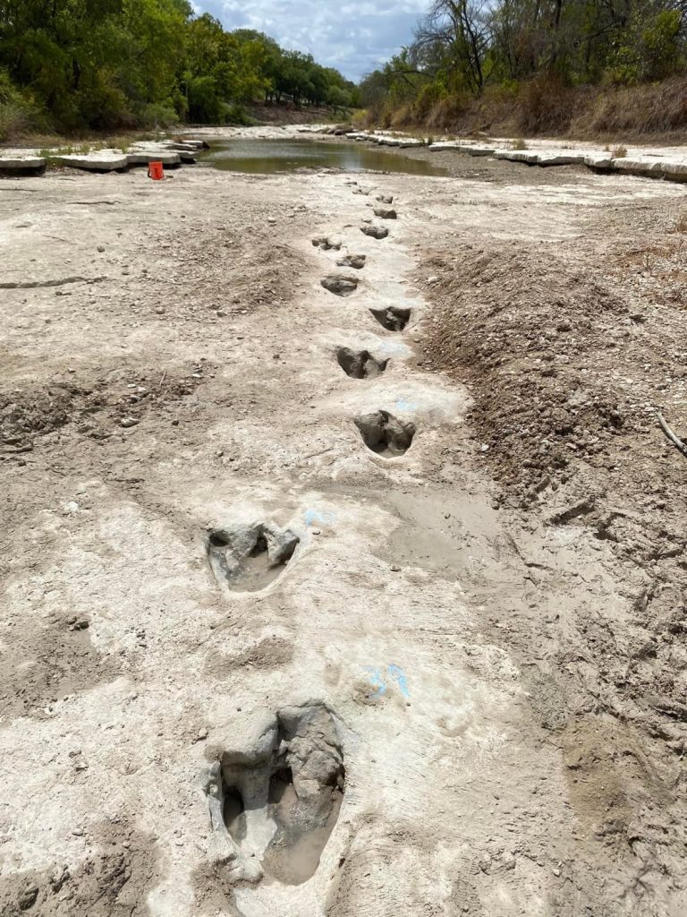 Drought reveals 113-million-year-old dinosaur tracks in Texas